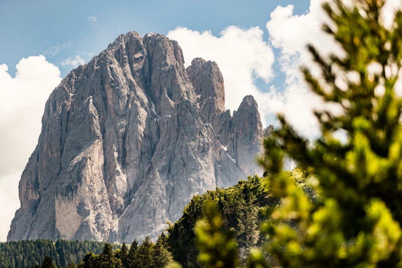 Appartamenti Hetty Santa Cristina Val Gardena Εξωτερικό φωτογραφία